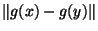 $\Vert g(x)-g(y)\Vert$