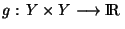 $g: Y\times Y\longrightarrow {\rm I\!R }$
